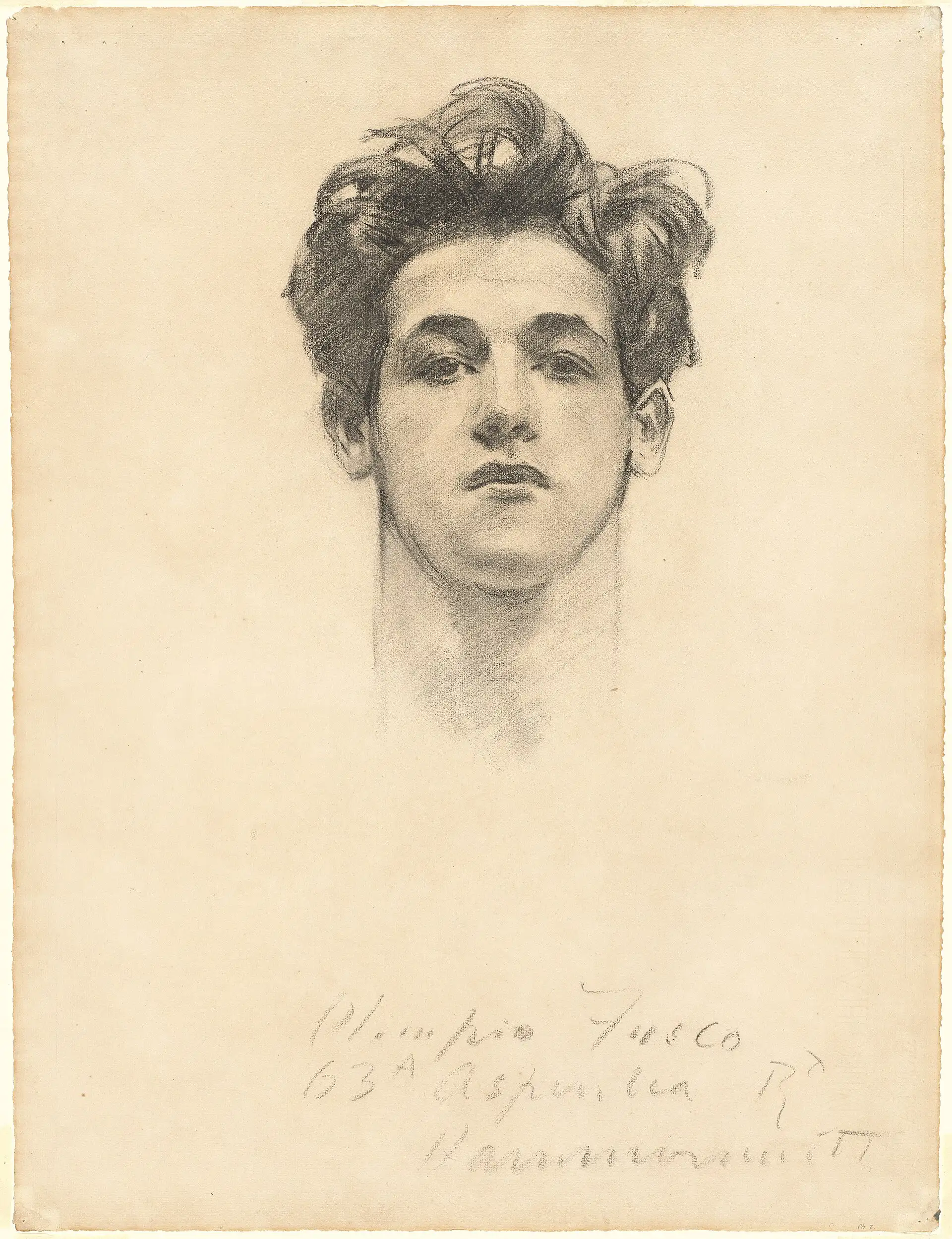 Retrato de frente de un muchacho de pelo revuelto.